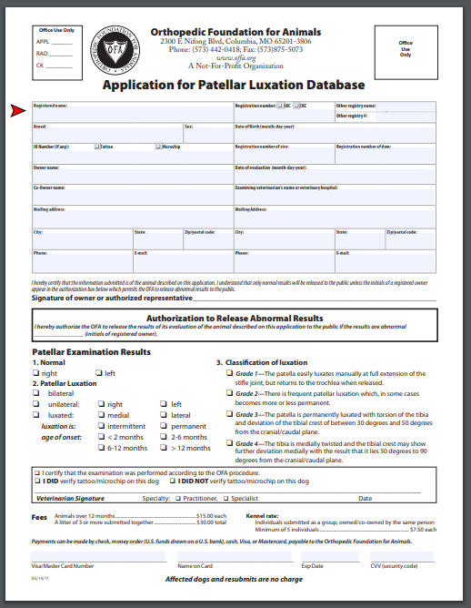 Patellar Luxation PDF