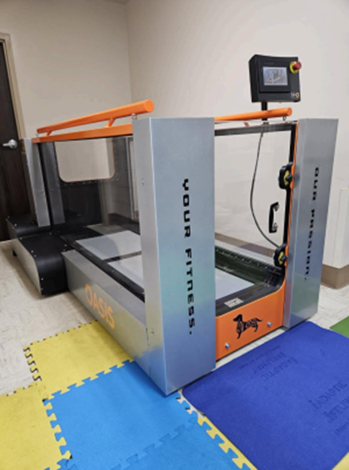 Underwater Treadmill