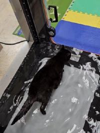 Underwater Treadmill