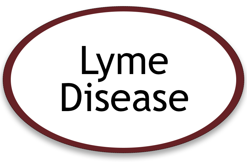 Lyme Disease